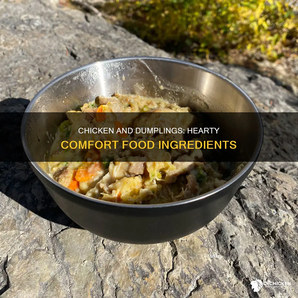 what all do you put in chicken and dumplings