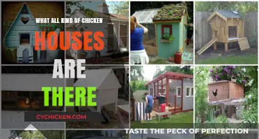 Exploring Different Types of Chicken Coops for Happy, Healthy Flocks