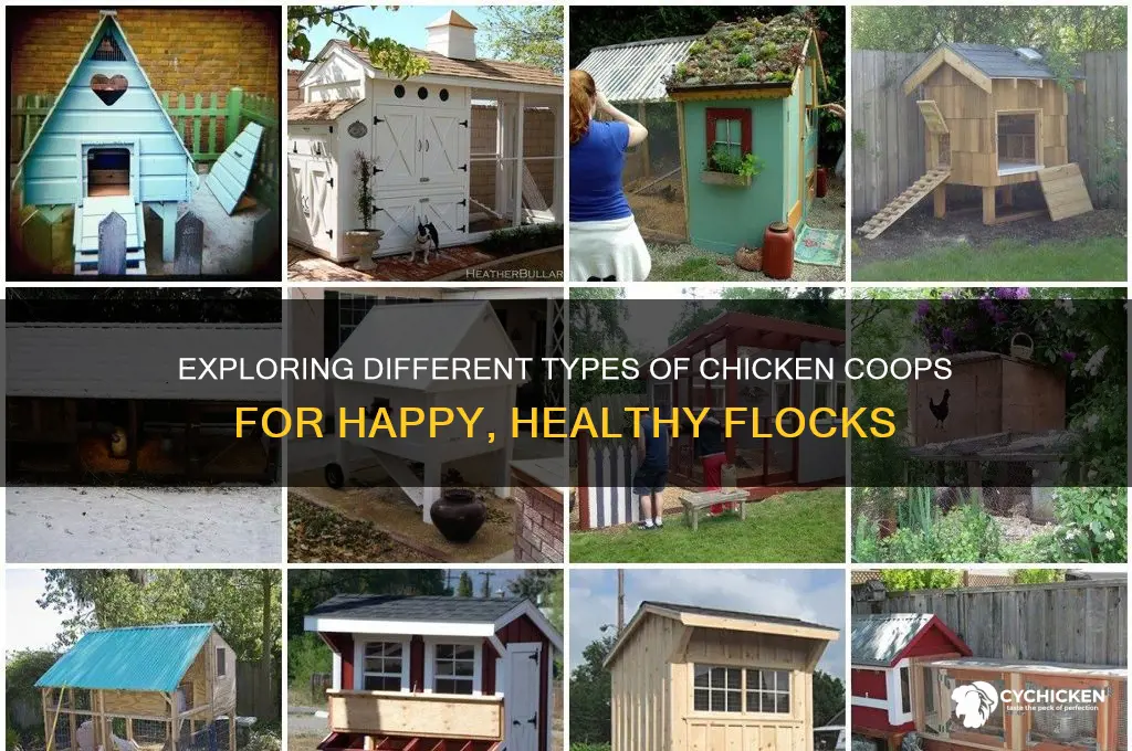 what all kind of chicken houses are there