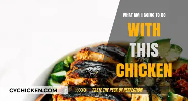 Creative Chicken Recipes: Endless Delicious Possibilities