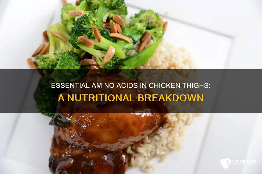 what amino acids are in chicken thighs