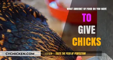Feeding Chicks: How Much Food is Enough?