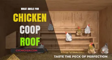 Optimal Roofing Angles for Chicken Coops: A Comprehensive Guide
