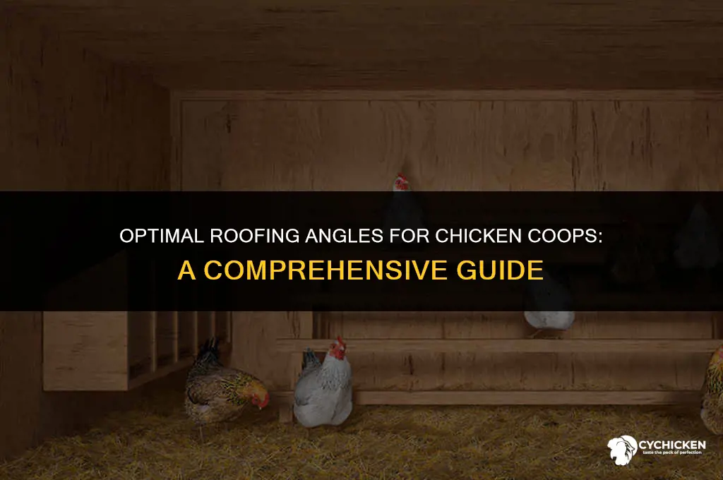 what angle for chicken coop roof