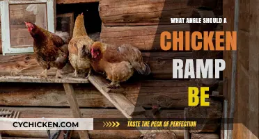 Optimal Chicken Ramp Angle: Ensuring Safe and Easy Coop Access