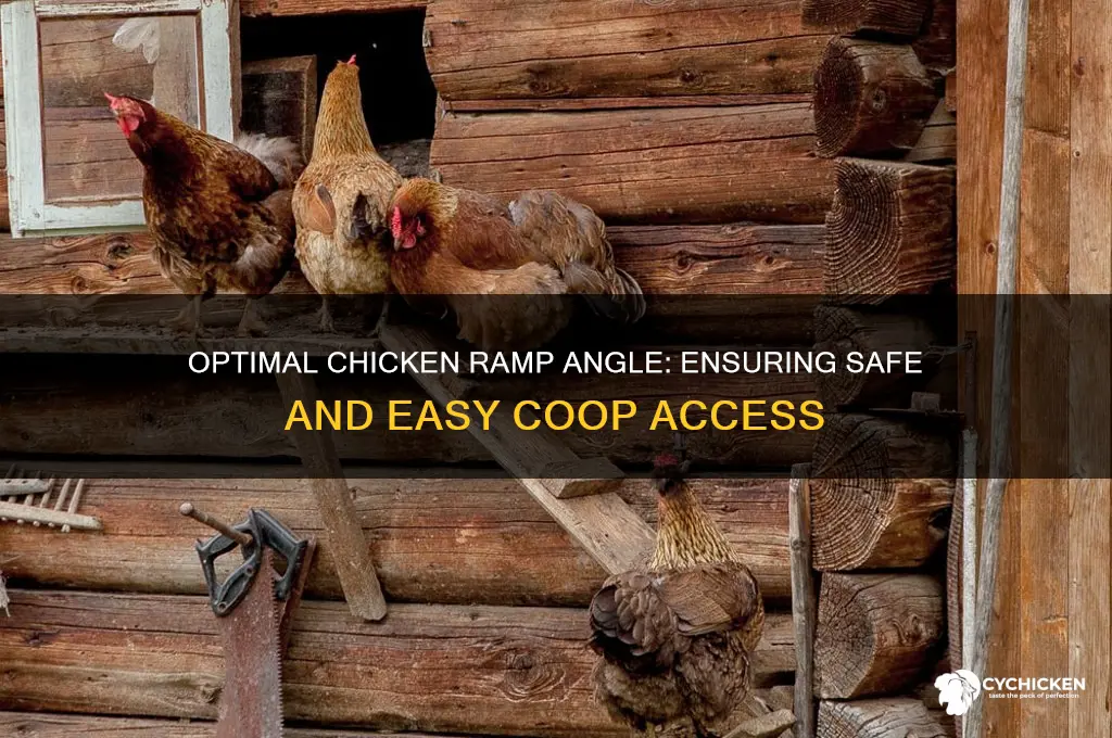 what angle should a chicken ramp be