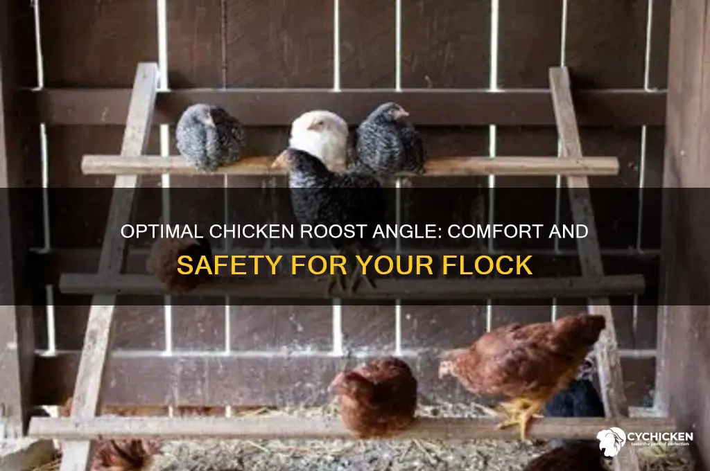 what angle should a chicken roost be