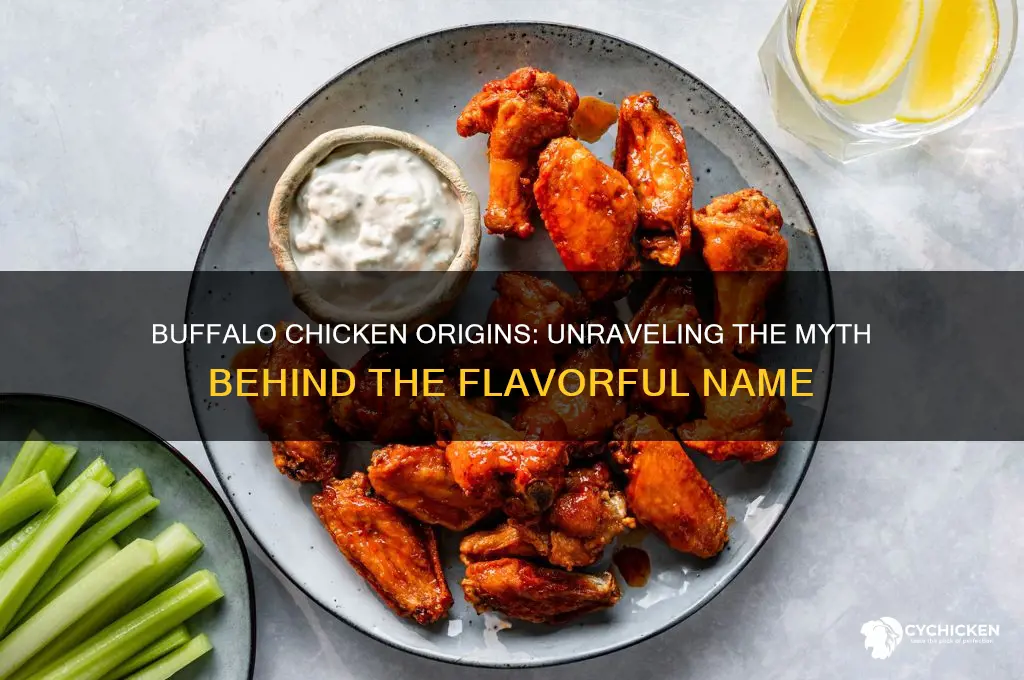 what animal does a buffalo chicken come from