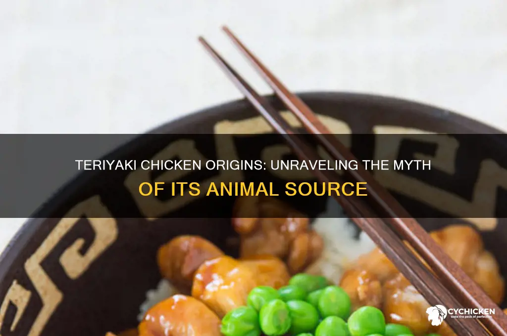 what animal does teriyaki chicken come from