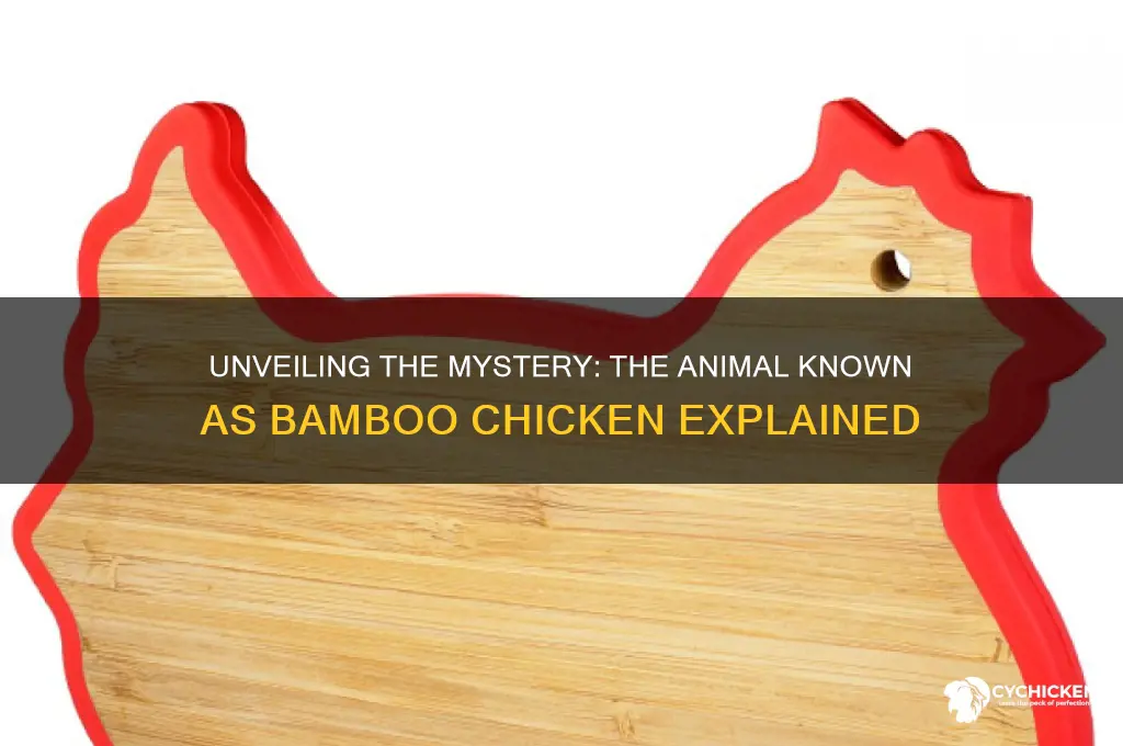 what animal has the name bamboo chicken