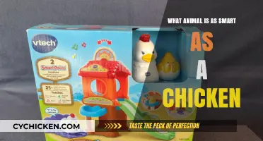Surprising Intelligence: Animals Matching Chickens in Cognitive Abilities