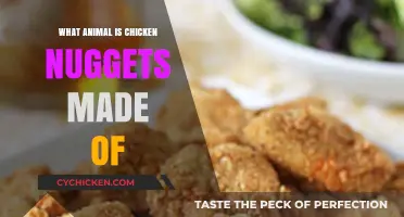 Unveiling the Truth: What Animal is Chicken Nuggets Made Of?