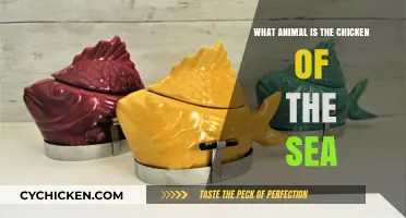 Unveiling the Ocean's Poultry: What Animal is the Chicken of the Sea?