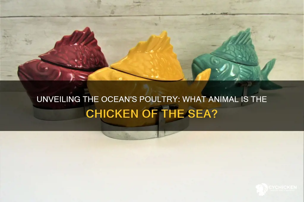 what animal is the chicken of the sea