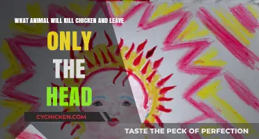 Who's the Headless Chicken Killer?