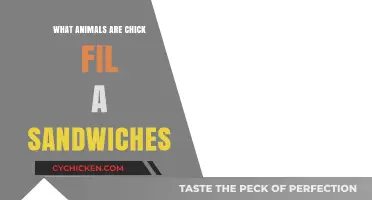Unveiling the Truth: Chick-fil-A Sandwiches and Their Animal Origins