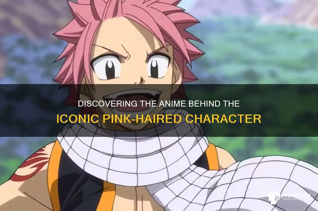 what anime is the pink haired chick from