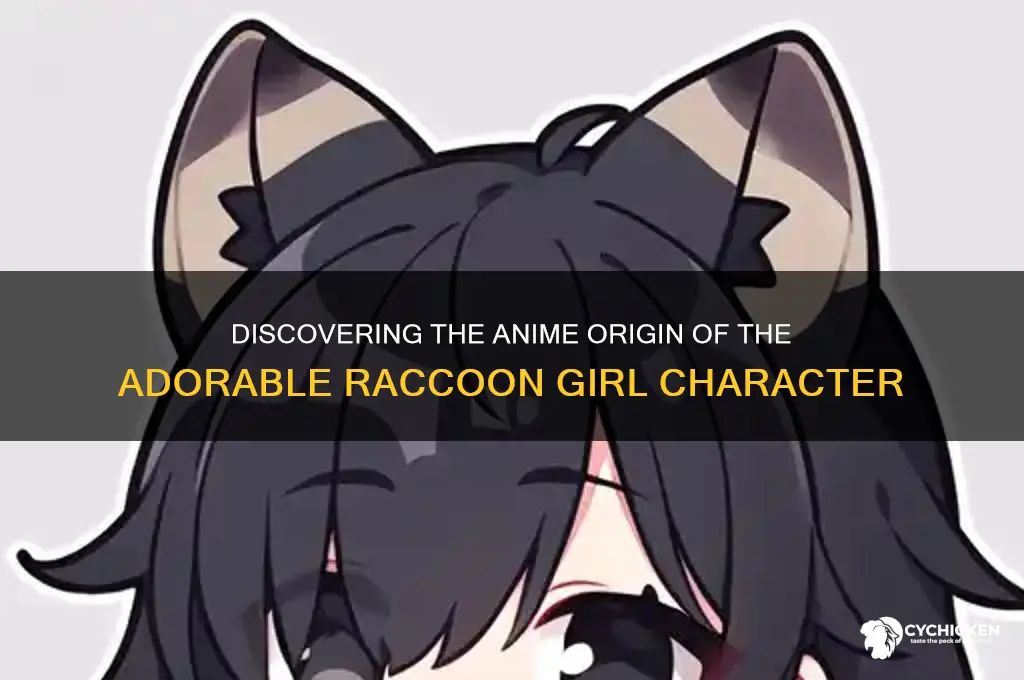 what anime is the raccoon chick from