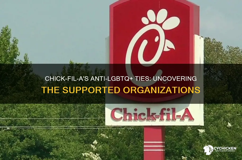 what anti lbgt group does chick flia support