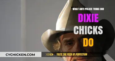 Dixie Chicks' Bold Anti-Police Statement: The Controversial Incident Explained