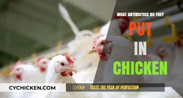 Antibiotics in Chicken: What's Used and Why It Matters