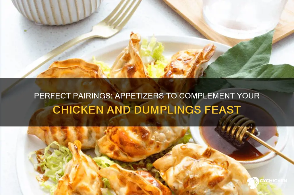 what appetizer goes with chicken and dumplings