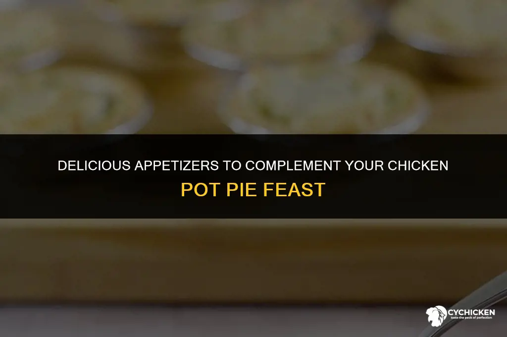 what appetizer goes with chicken pot pie