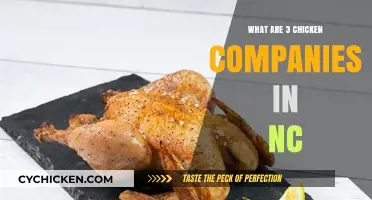 Top Chicken Companies in North Carolina: 3 Leading Producers