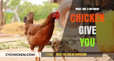 Nutrient-Rich Chicken: 3 Essential Benefits for a Healthy Diet