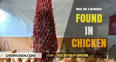 Essential Nutrients in Chicken: 3 Key Benefits for Your Health