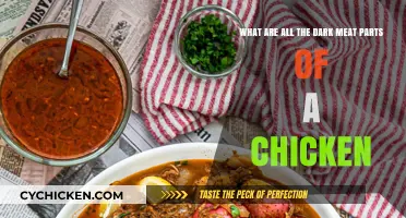 Dark Meat Delights: Exploring Chicken's Tastiest Cuts