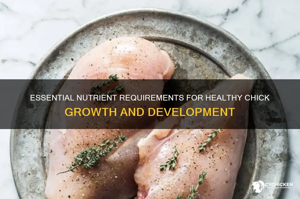 what are basic nutriont needs for chicks