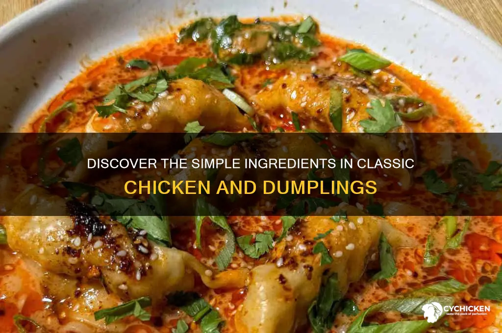 what are chicken and dumplings made of