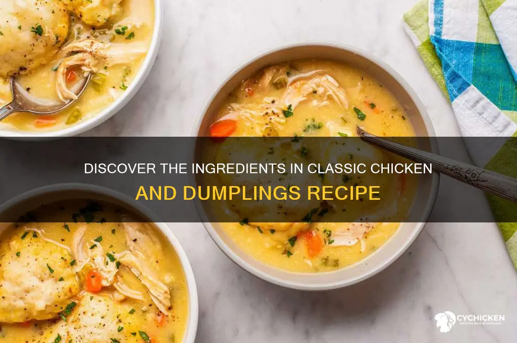 what are chicken and dumplings made out of