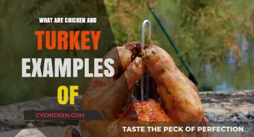 Understanding Poultry: Chicken and Turkey as Prime Examples Explained