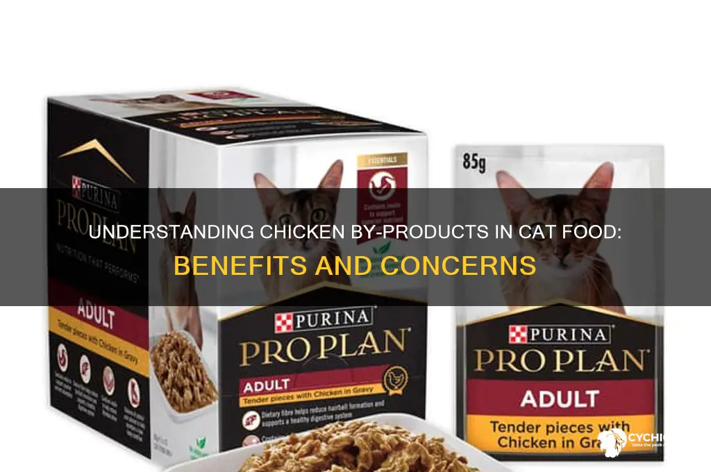 what are chicken by products in cat food