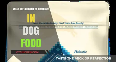 Understanding Chicken By-Products in Dog Food: Benefits and Concerns