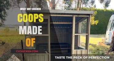 Exploring the Materials Used in Building Chicken Coops