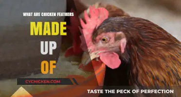 Unveiling the Surprising Composition of Chicken Feathers: A Detailed Analysis
