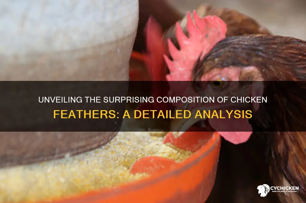 what are chicken feathers made up of