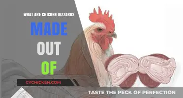 Unveiling the Truth: What Are Chicken Gizzards Really Made Of?