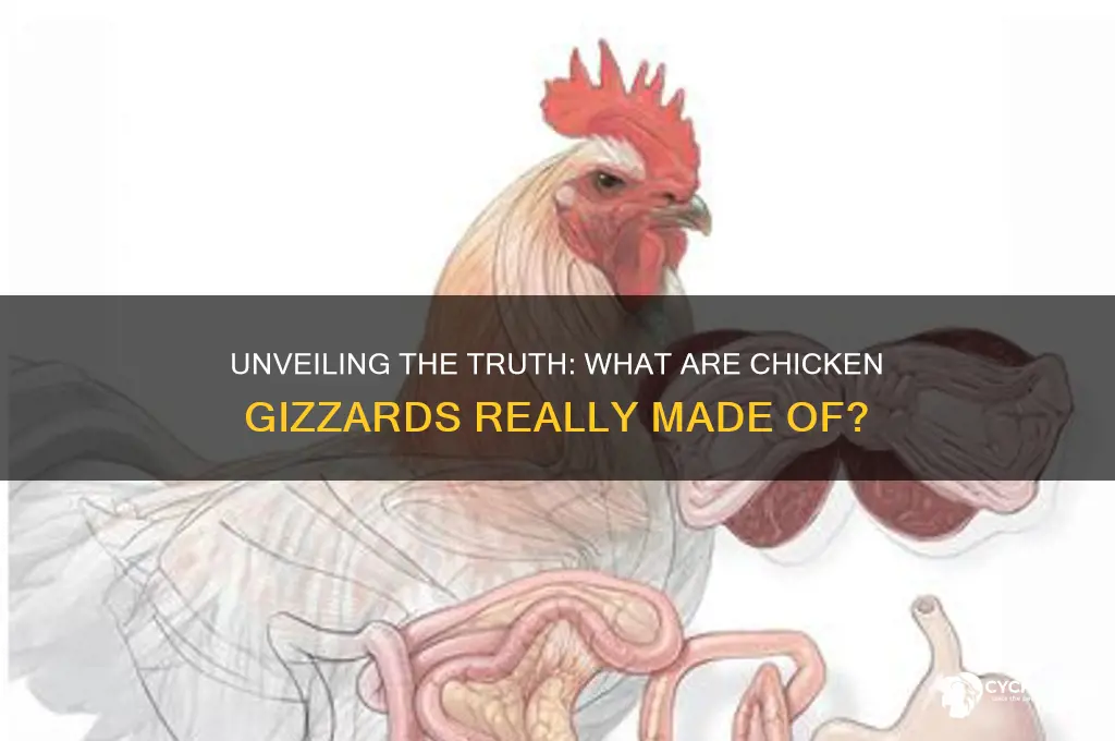 what are chicken gizzards made out of