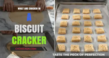 Discover the Southern Snack: Chicken in a Biscuit Crackers Explained