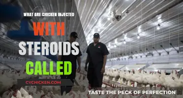 Unveiling the Truth: Are Chickens Injected with Steroids?