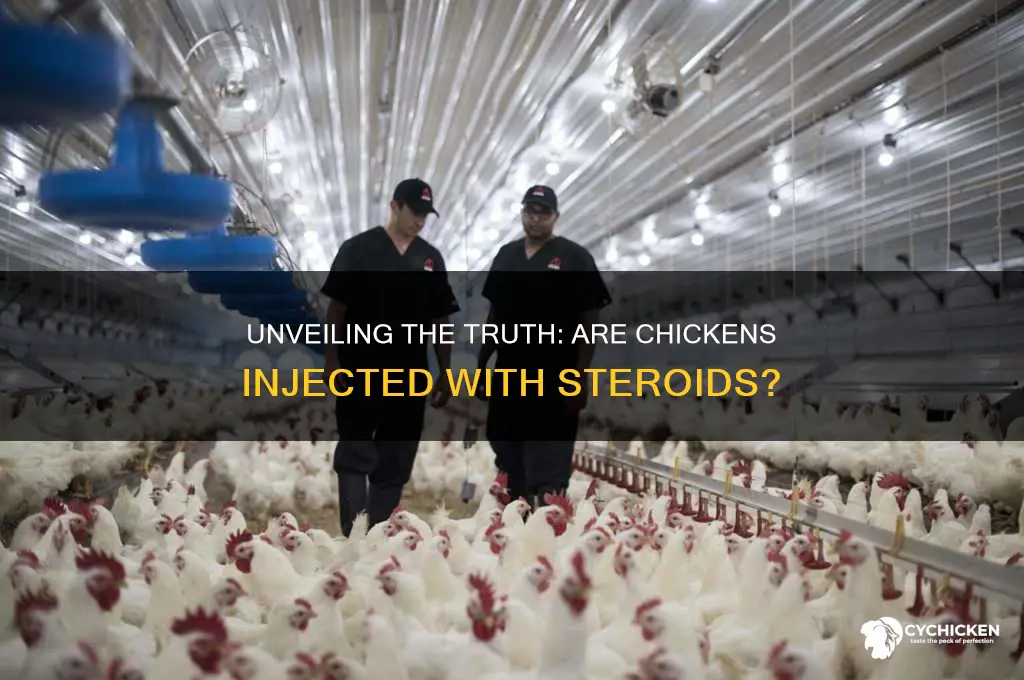 what are chicken injected with steroids called