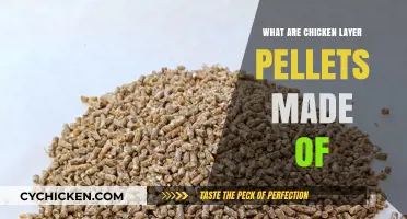 Understanding Chicken Layer Pellets: Ingredients and Nutritional Composition Explained