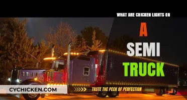 Understanding Chicken Lights: Semi-Truck Customization Trends Explained