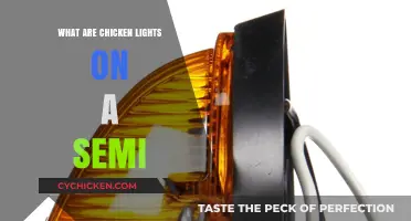 Understanding Chicken Lights: Semi-Truck Marker Lights Explained