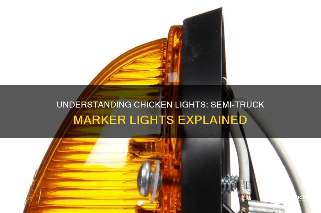 what are chicken lights on a semi