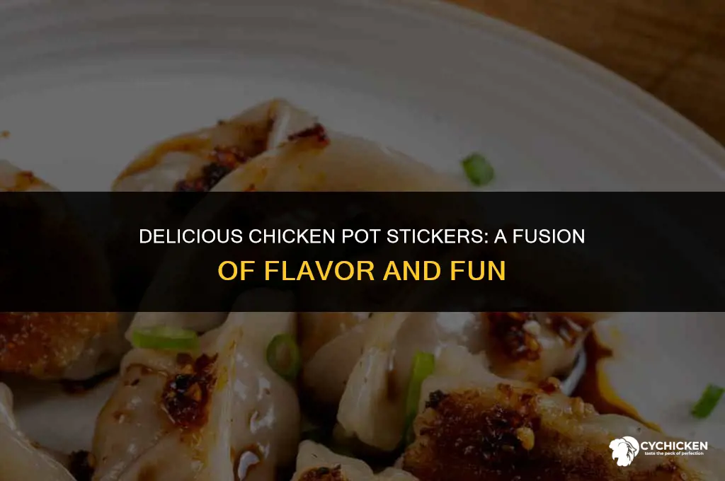 what are chicken pot stickers